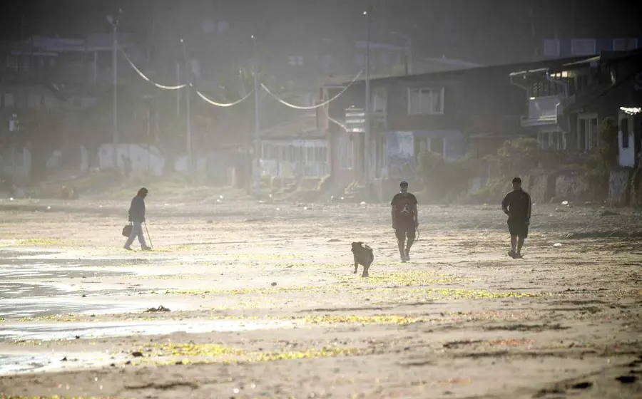 contaminacion 