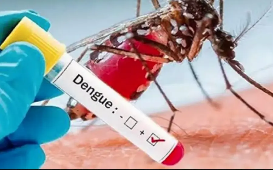 dengue-casos-oaxaca 