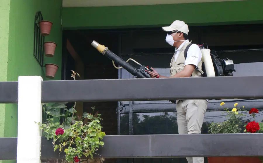 dengue-casos-oaxaca 