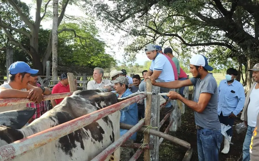 ganaderos 