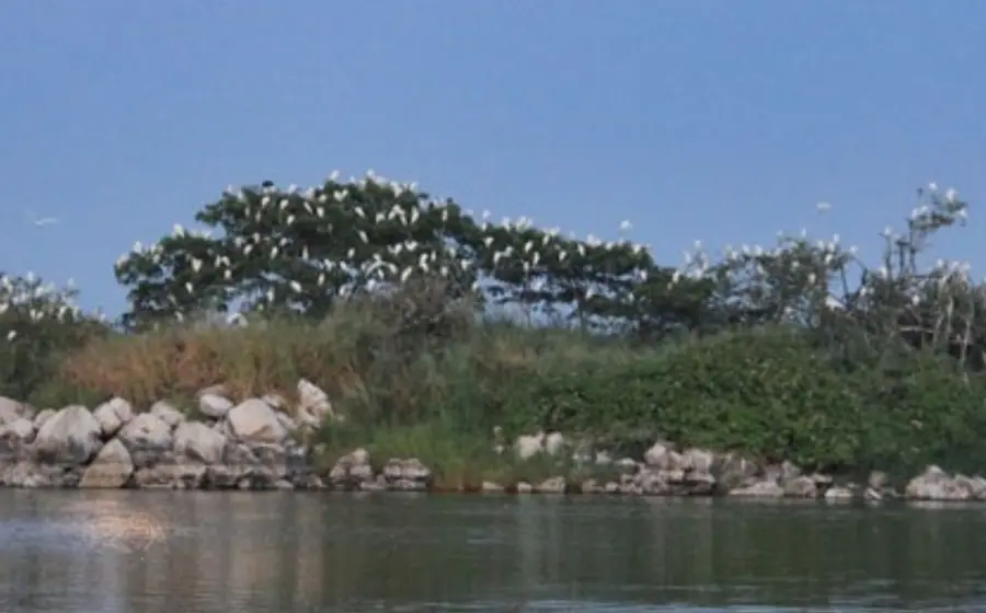 isla_del_gallo
