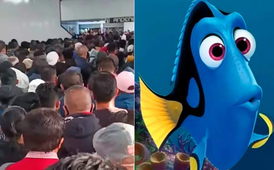 aglomeracion-mexico-dory