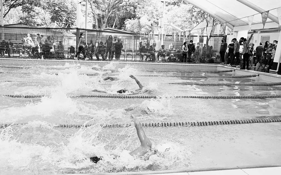 natacion-competencias
