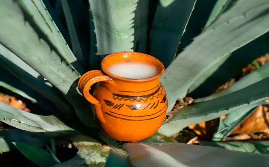 pulque-mexico 