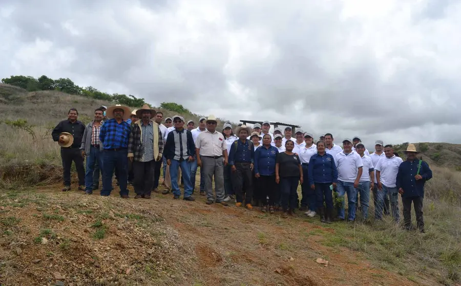 grupo-de-reforestacion 