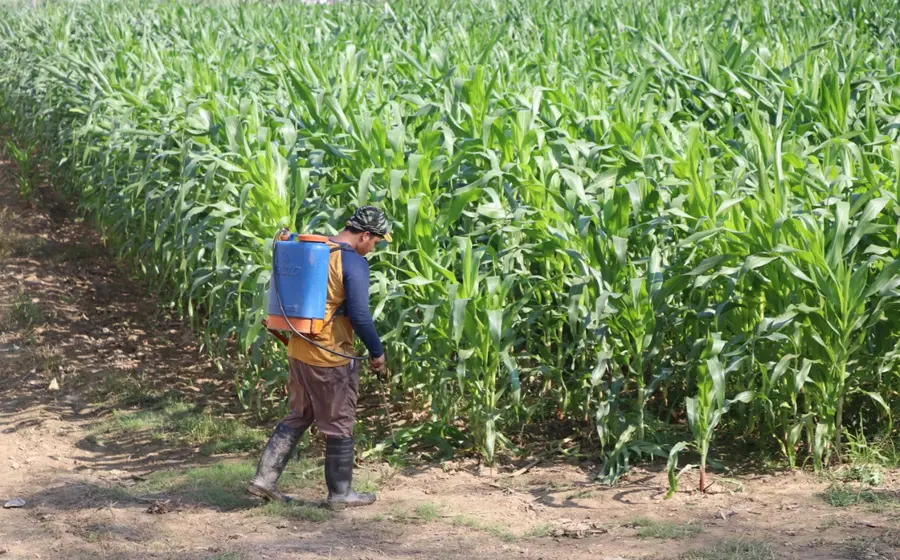 agricultor-de-oaxaca