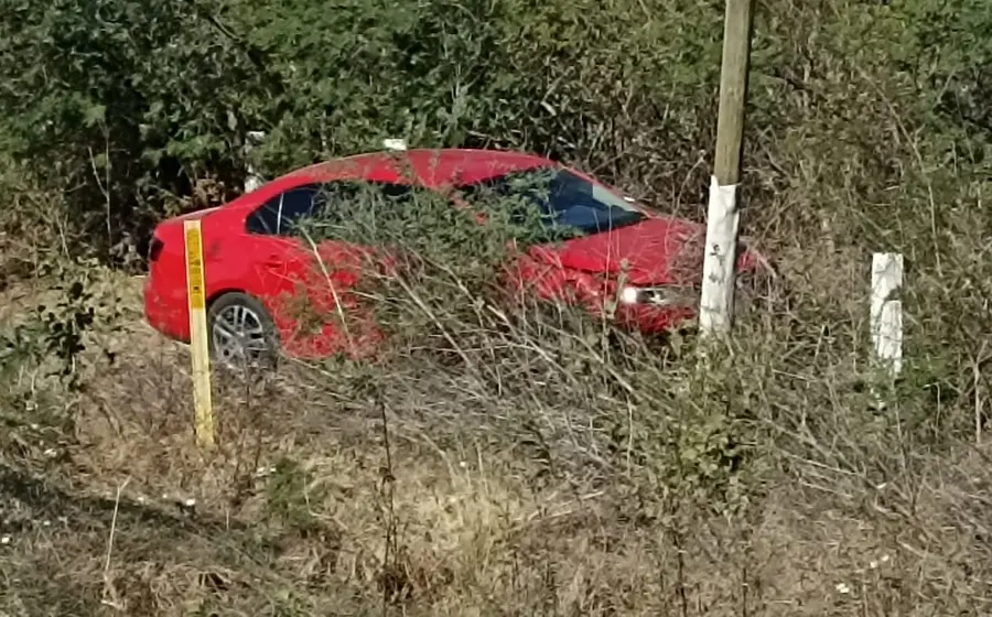 auto-entre-la-maleza
