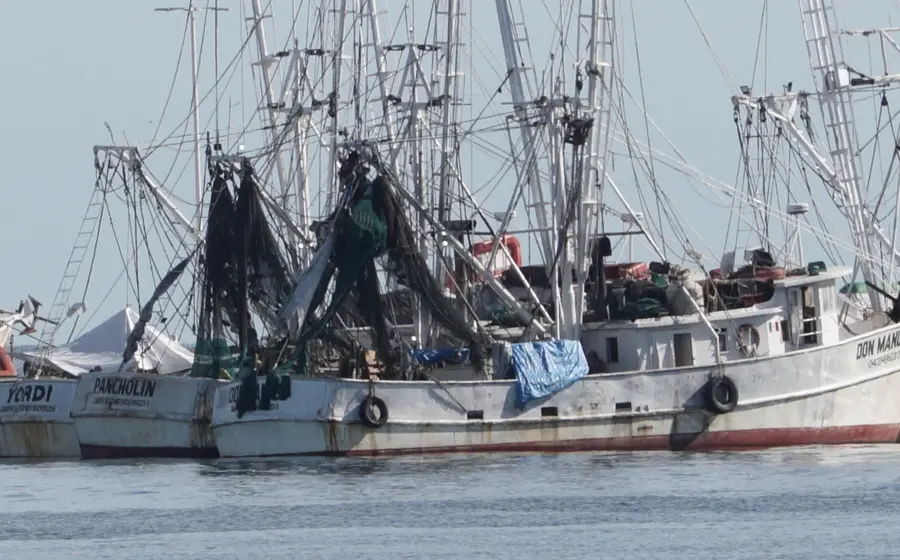 barco_de_pesca