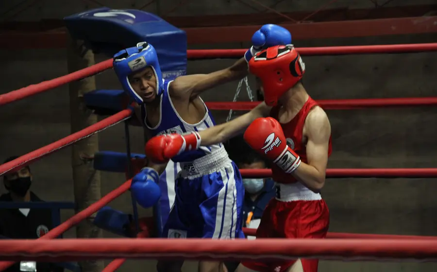 torneo-box