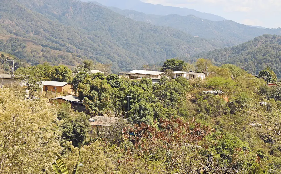Coicoyan_de_las_Flores