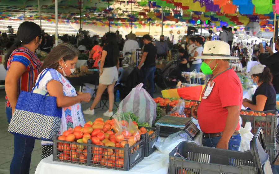 economia-comercio-oaxaca