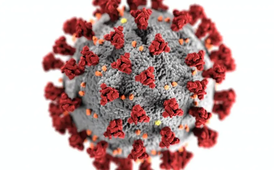 virus-covid 