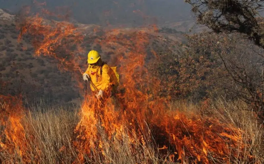 incendio-forestal
