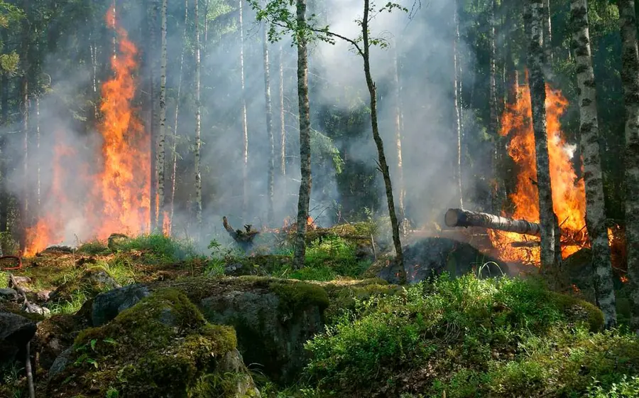 incendio-forestal