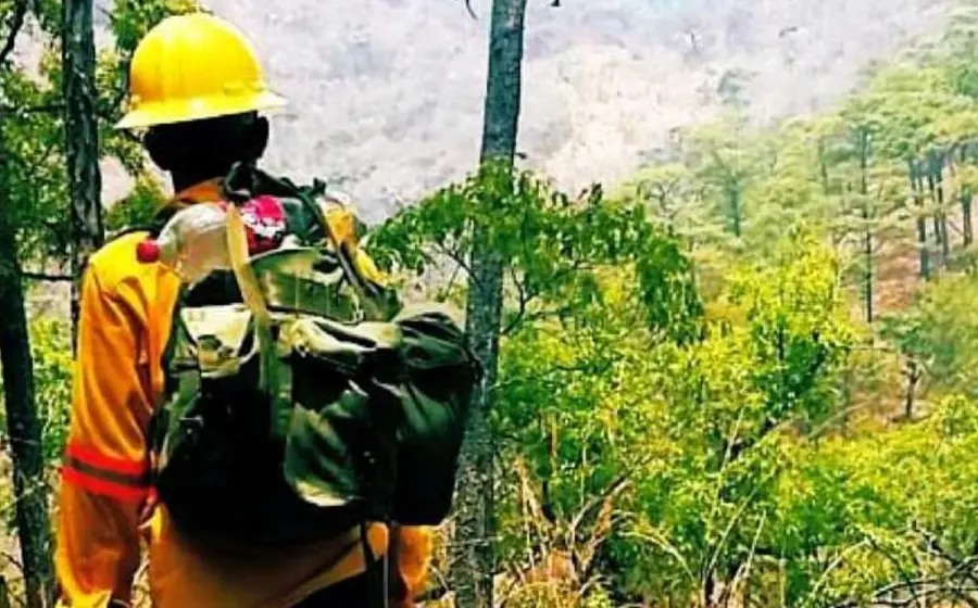 incendio-forestal