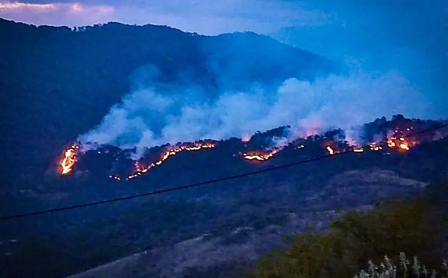 incendio-forestal