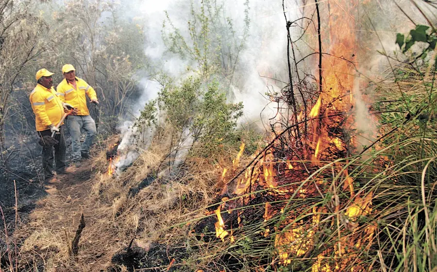 incendio-forestal