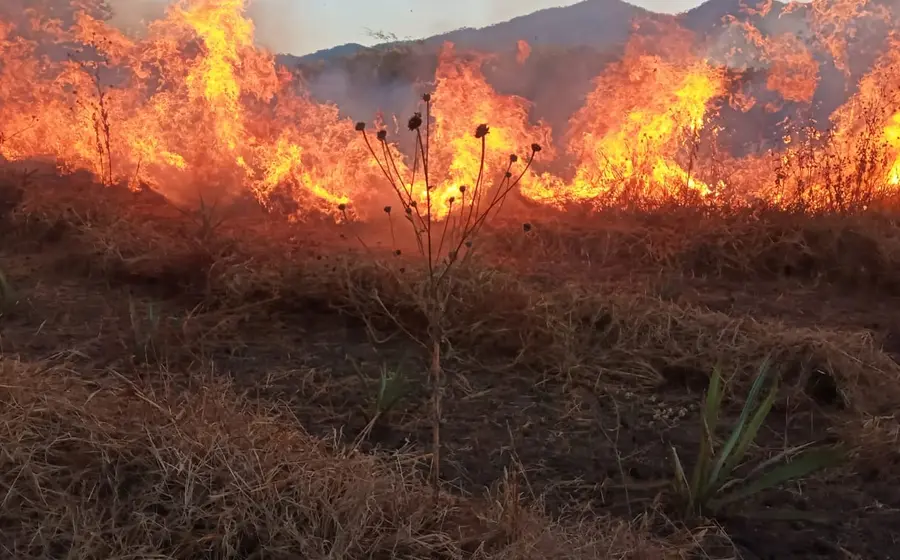 incendio_forestal