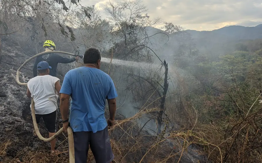 incendio-forestal
