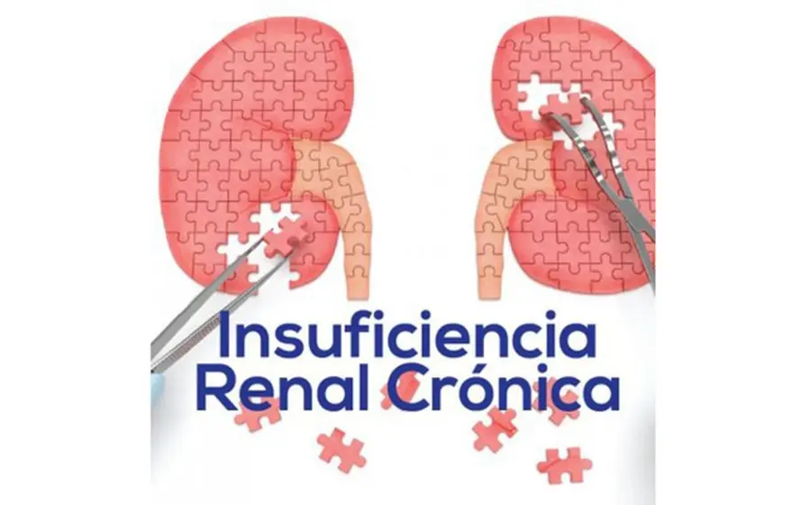 Insuficiencia_renal