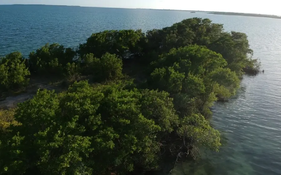 isla_coffe_caye