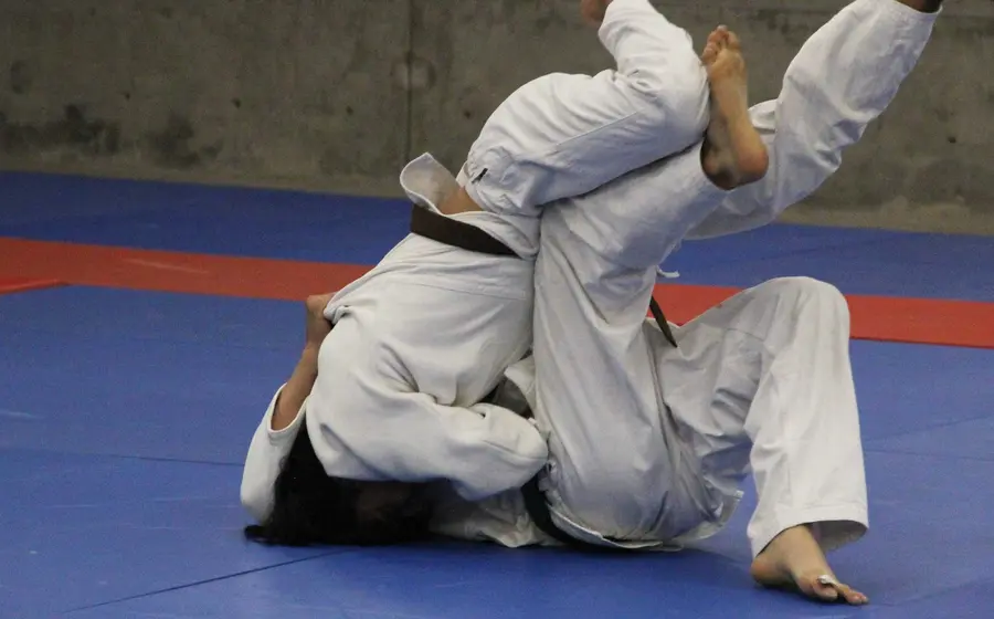 judo