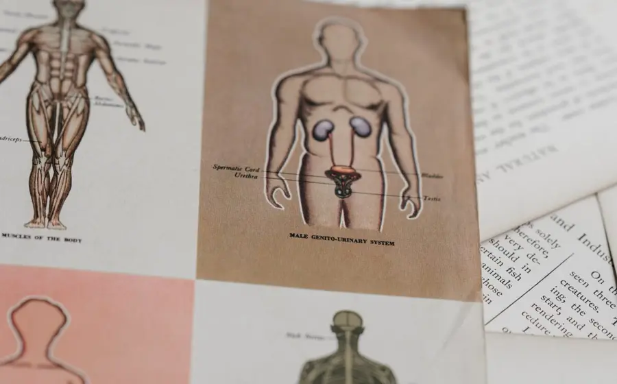 mapa_anatomico_hombre