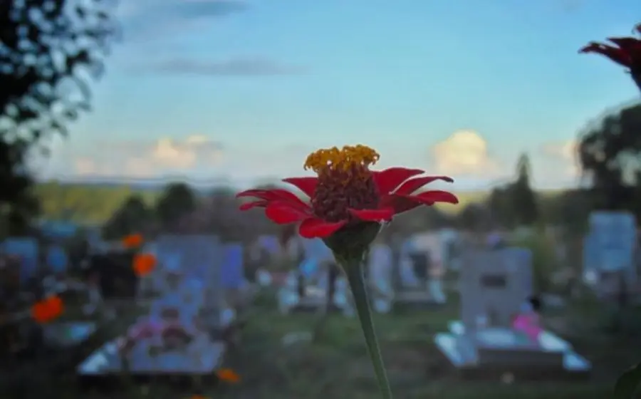 cementerio