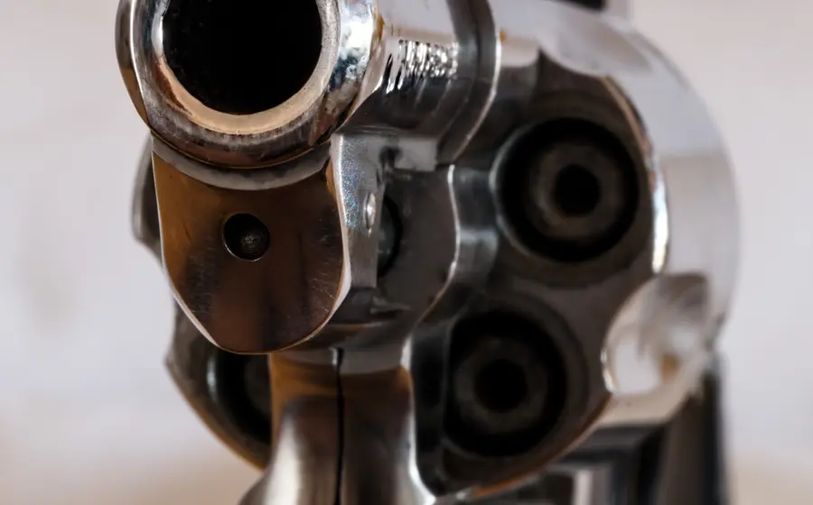 pistola