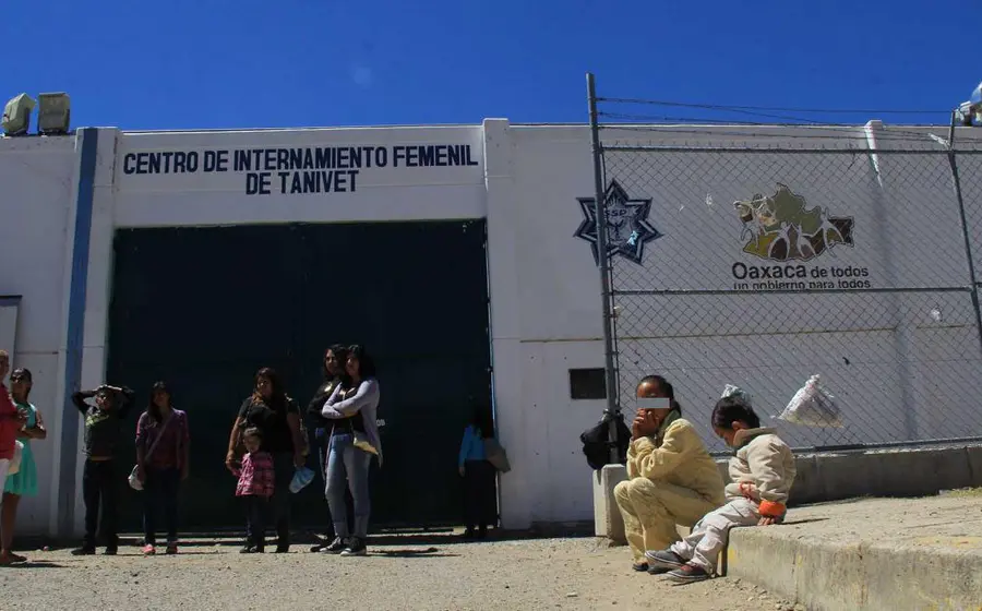 tanivet-penal