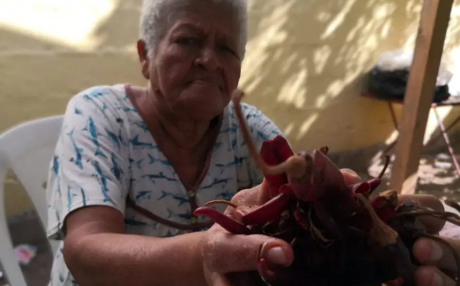 cocinera-tradicional-de-oaxaca