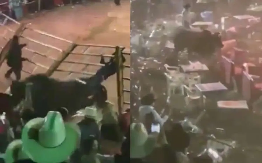 percance_en_jaripeo