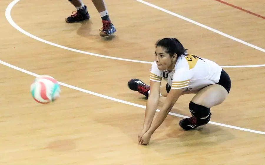 voleibol 