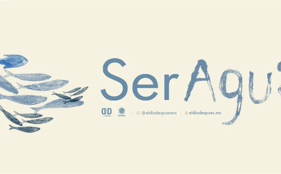 Proyecto