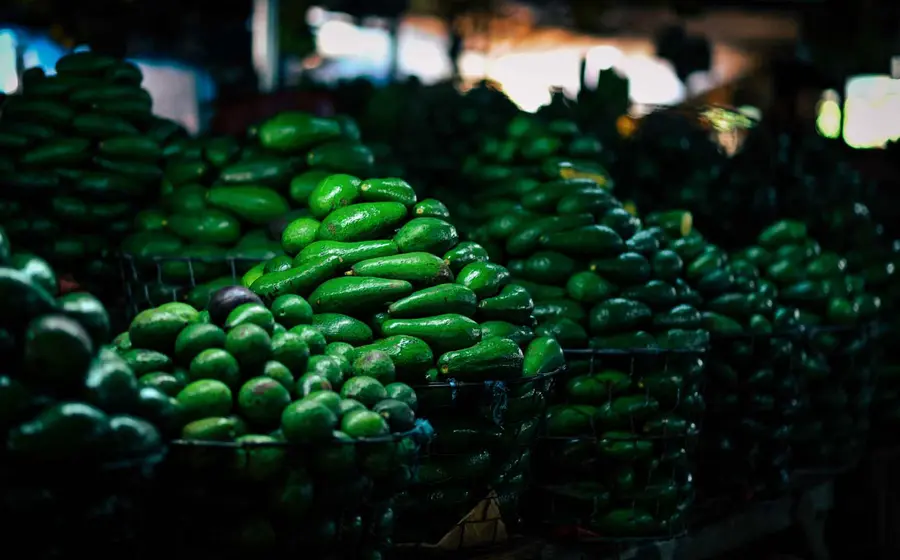 aguacates