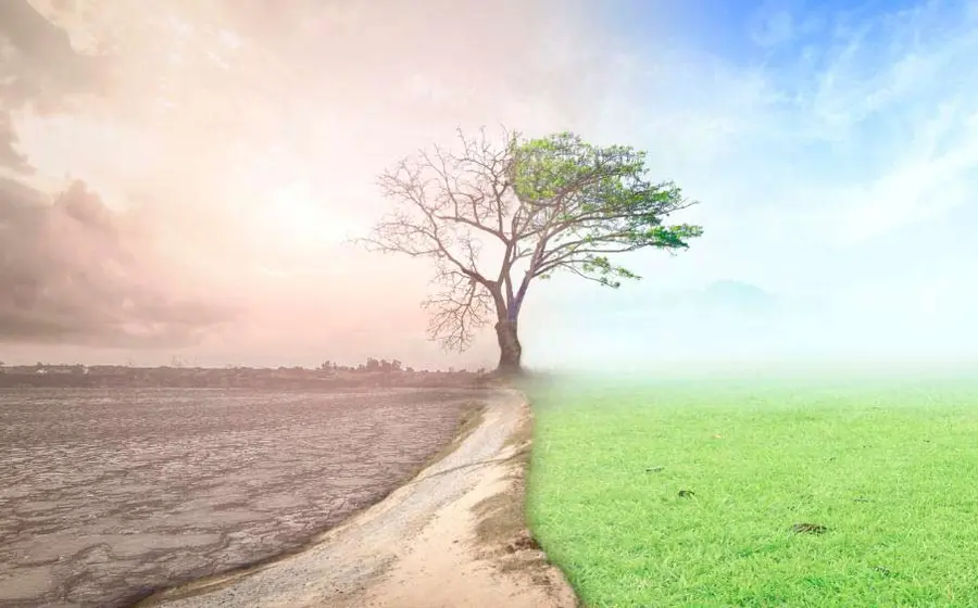 cambio-climatico 