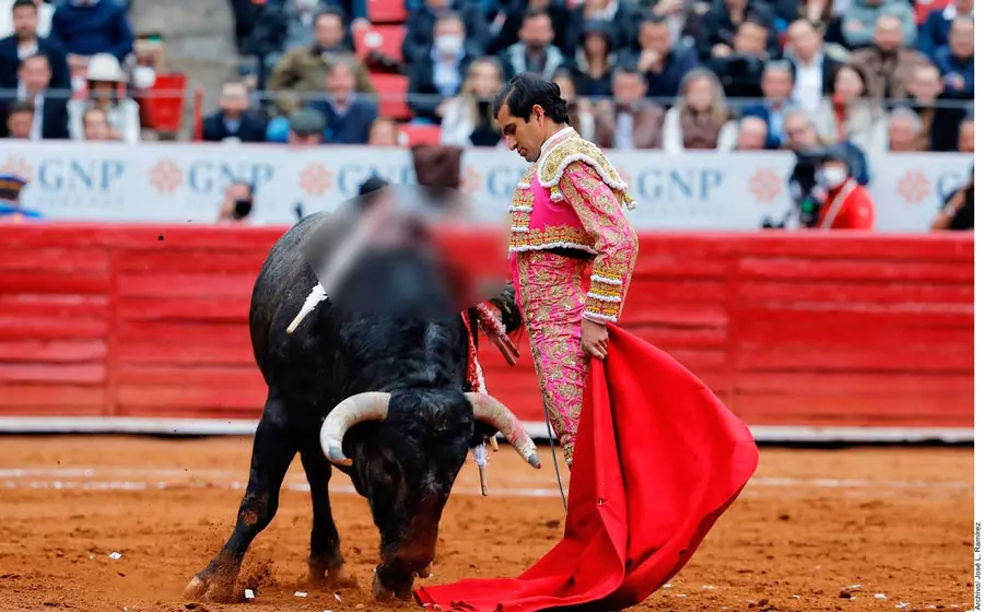 corrida-de-toros 