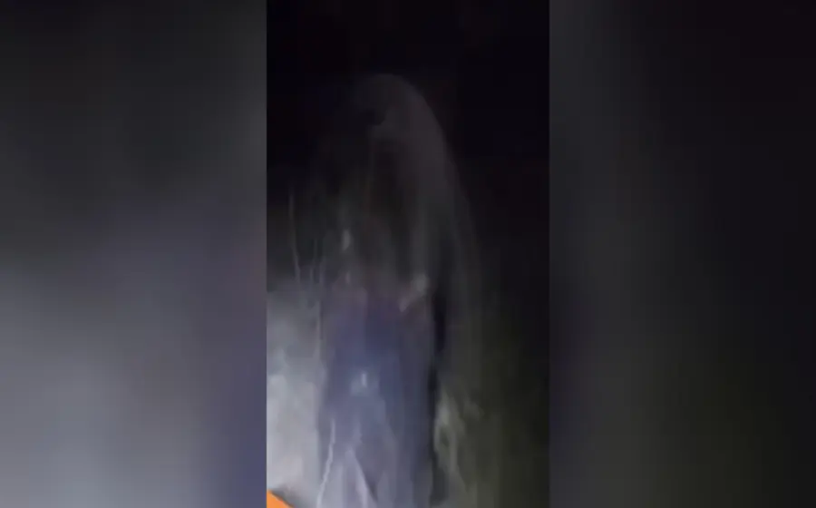 Oaxaca-fantasma 
