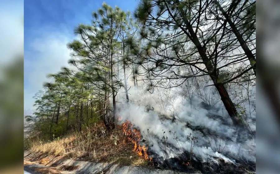 incendio-forestal 