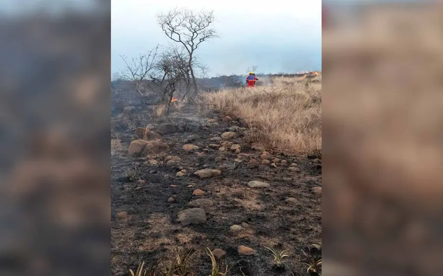 incendio 