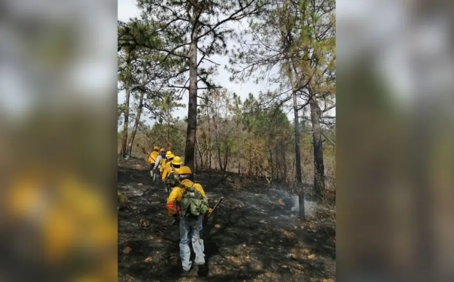 incendios-oaxaca 