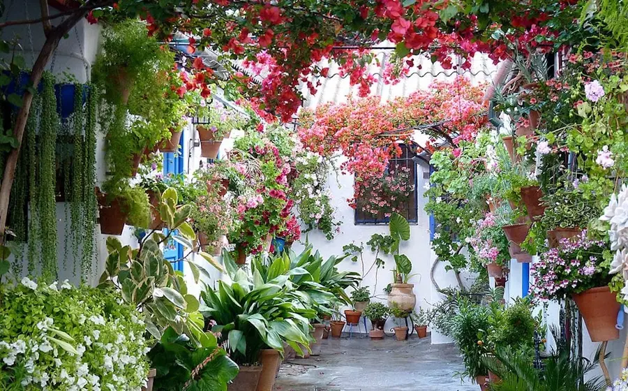 jardin-casa