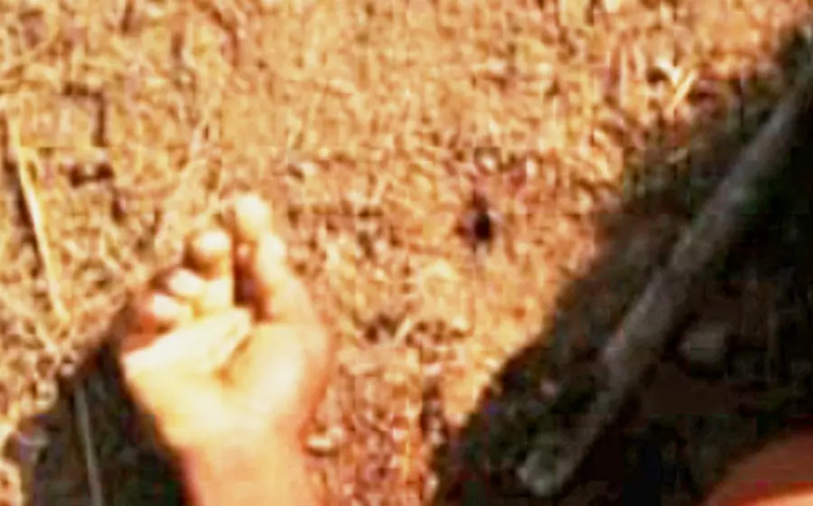mano 