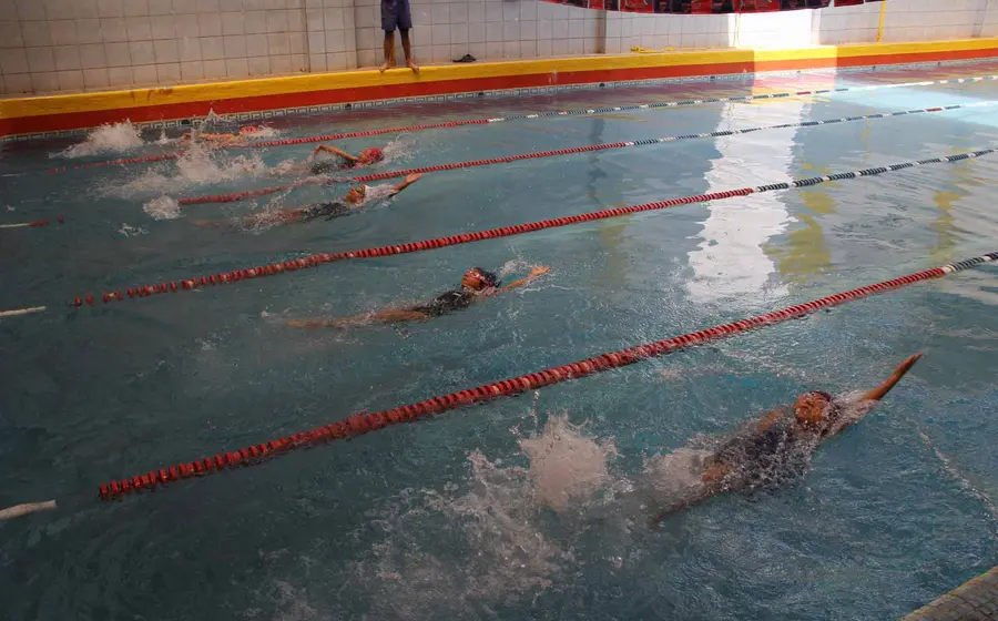 competencia-natacion 