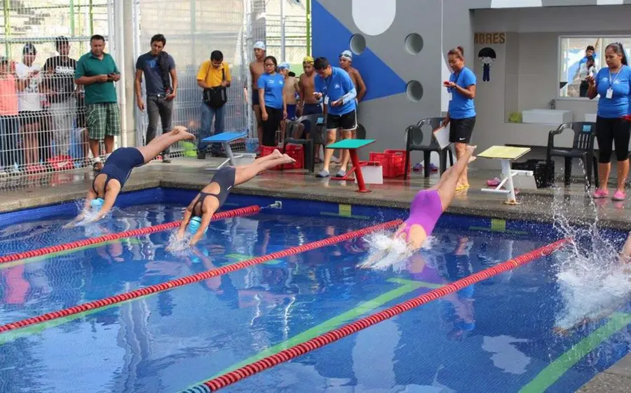 natacion-competencia 