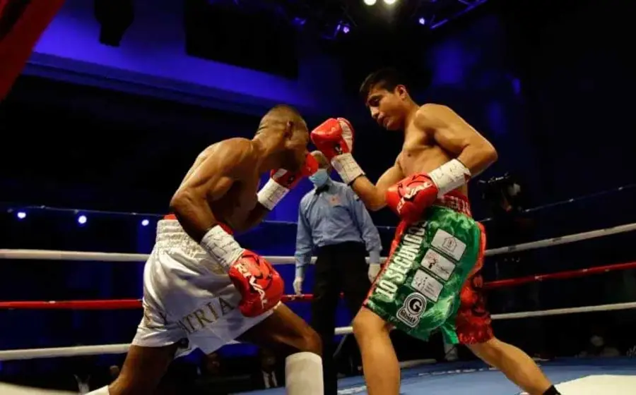 torneo-de-box 