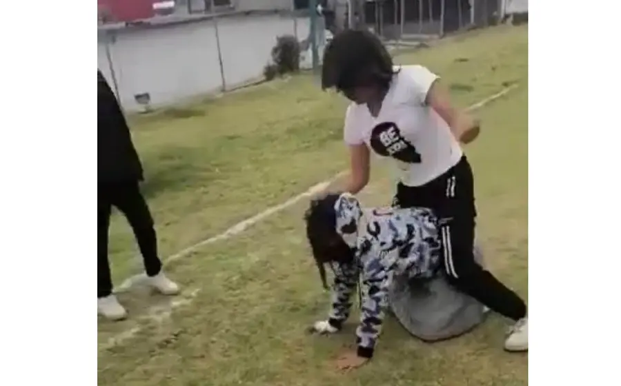 Pelea