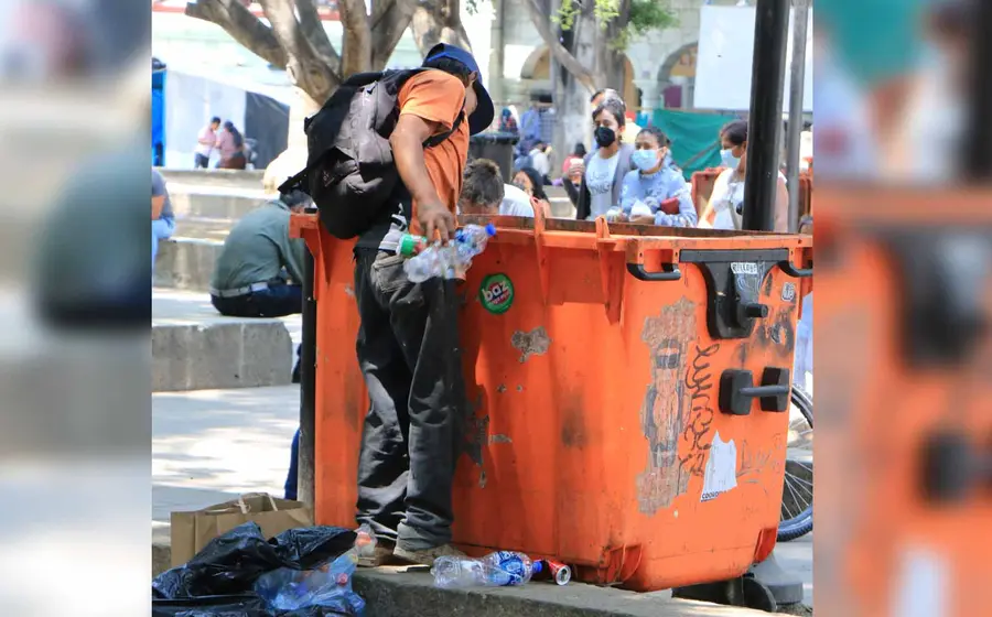 recolector-de-basura 