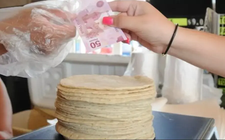 precio-tortilla
