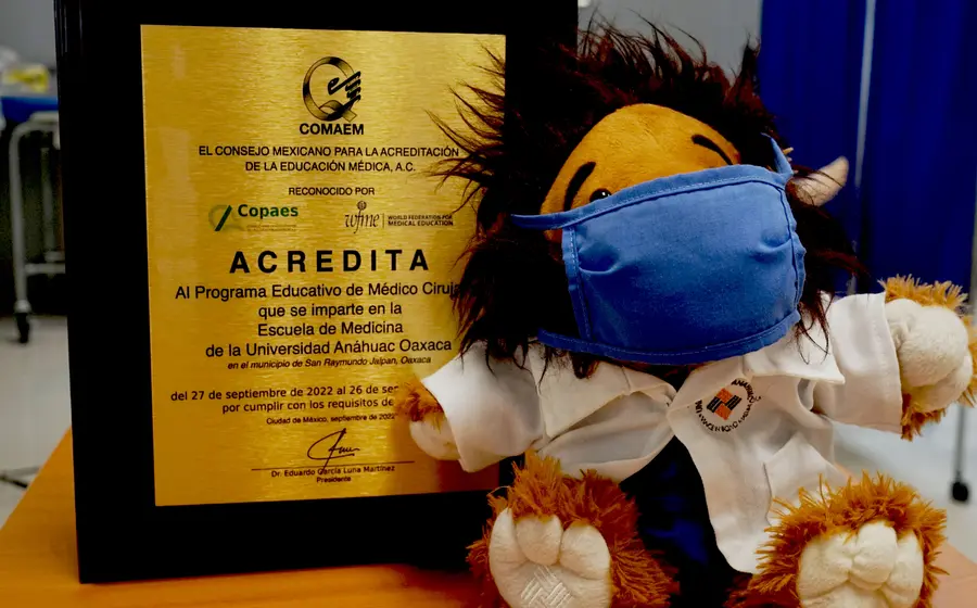 placa-y-peluche